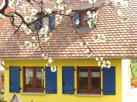 La gite en alsace sous le cerisier en fleurs